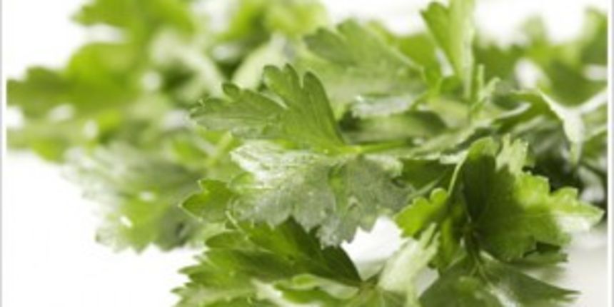 Peršin, foto: zdravlje-prehrana.com