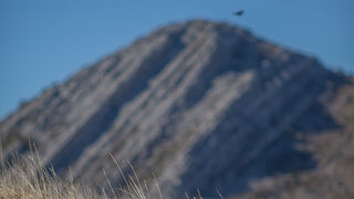 Izlet u Libinje, foto: Darko Belančić