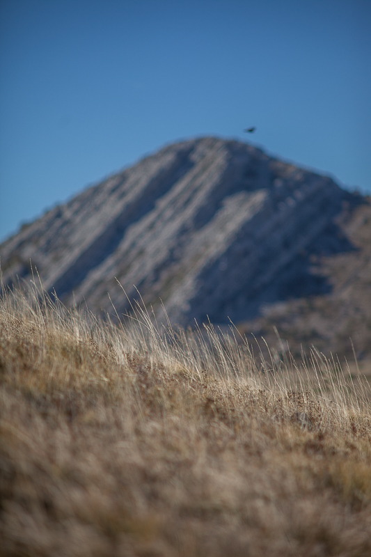 Izlet u Libinje, foto: Darko Belančić