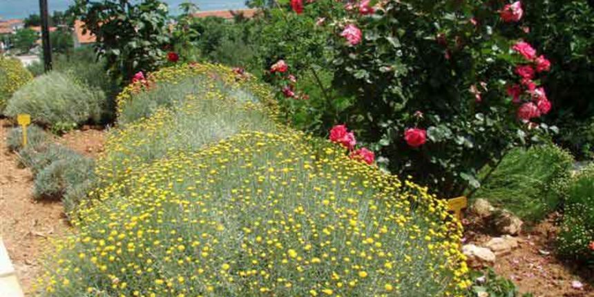 Preko – školski vrt 1/Foto: opcina.preko.hr