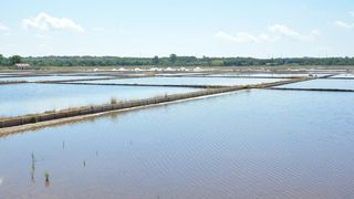 Nin – Povijesni gradic Nin pokraj Zadra za svoju prepoznatljivost ima nadaleko poznatu i najstariju hrvatsku solanu. Pod geslom “Prica o soli…” i dan danas se sol proizvodi na tradicionalan nacin. Photo: Damir Spehar/PIXSELL Nin – Povijesni gradic Nin pokraj Zadra za svoju prepoznatljivost ima nadaleko poznatu i najstariju hrvatsku solanu. Pod geslom “Prica o soli…” i dan danas se sol proizvodi na tradicionalan nacin. Photo: Damir Spehar/PIXSELL