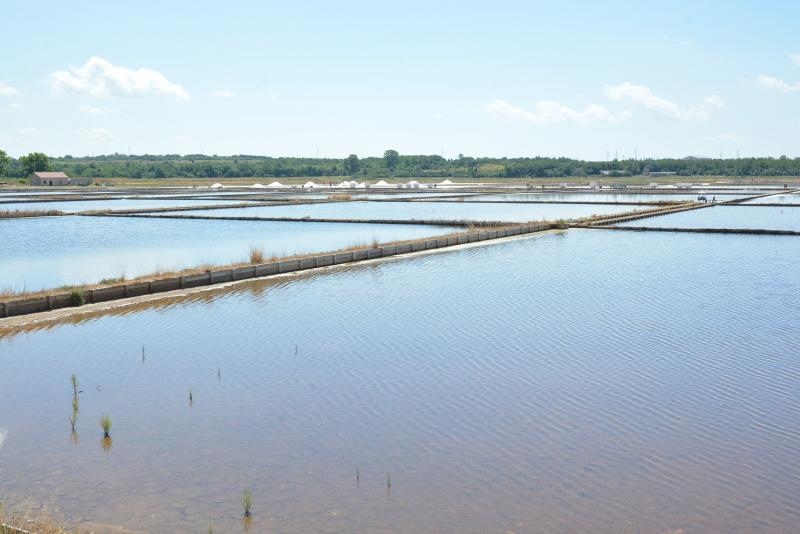 Nin – Povijesni gradic Nin pokraj Zadra za svoju prepoznatljivost ima nadaleko poznatu i najstariju hrvatsku solanu. Pod geslom “Prica o soli…” i dan danas se sol proizvodi na tradicionalan nacin. Photo: Damir Spehar/PIXSELL Nin – Povijesni gradic Nin pokraj Zadra za svoju prepoznatljivost ima nadaleko poznatu i najstariju hrvatsku solanu. Pod geslom “Prica o soli…” i dan danas se sol proizvodi na tradicionalan nacin. Photo: Damir Spehar/PIXSELL