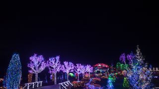 Još raskošnije izdanje: pogledajte kako izgleda Božićna priča obitelji Salaj gdje je ove godine zasjalo rekordnih 2.5 milijuna lampica