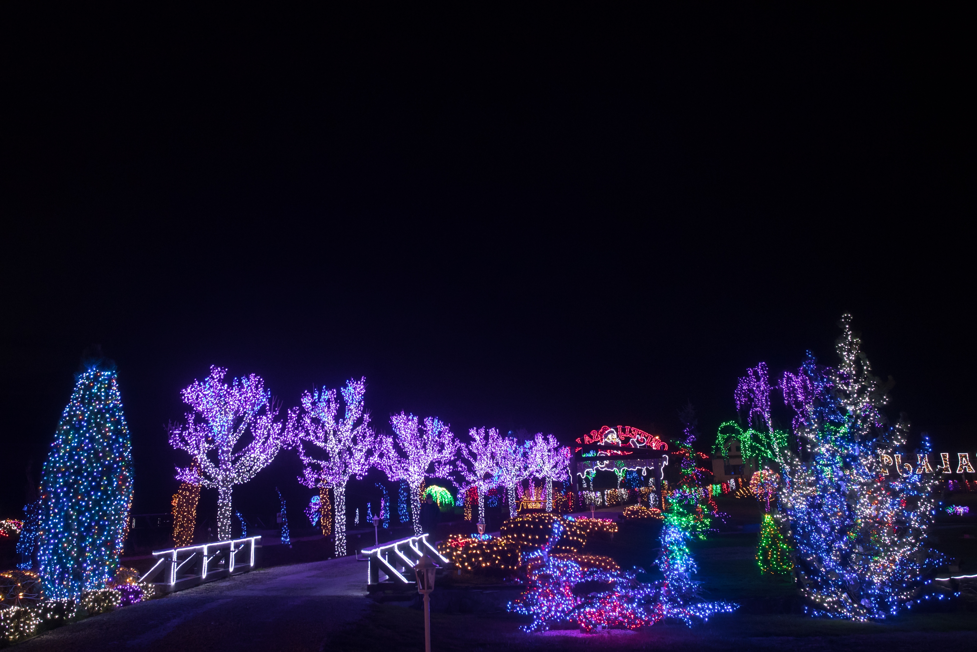 Još raskošnije izdanje: pogledajte kako izgleda Božićna priča obitelji Salaj gdje je ove godine zasjalo rekordnih 2.5 milijuna lampica