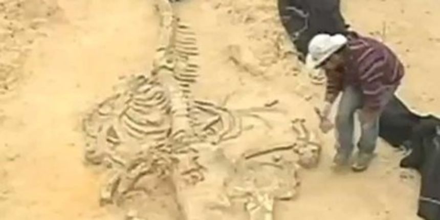 U pustinji otkriveno misteriozno groblje kitova, screenshot