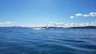 Zadarska Koka 2016. 22. listopada 2016. Foto: Mladen Malik Zadarska Koka 2016. 22. listopada 2016. Foto: Mladen Malik