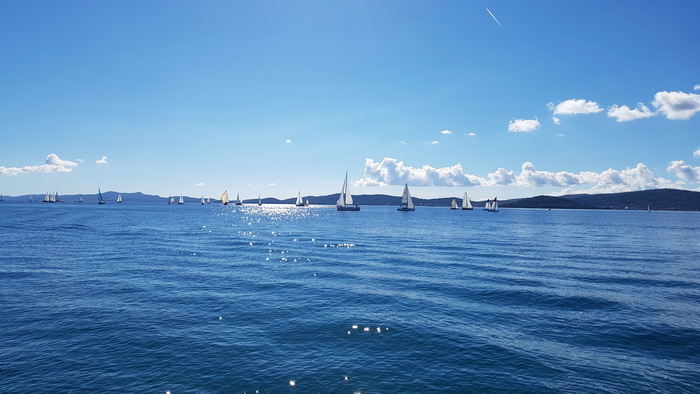 Zadarska Koka 2016. 22. listopada 2016. Foto: Mladen Malik Zadarska Koka 2016. 22. listopada 2016. Foto: Mladen Malik