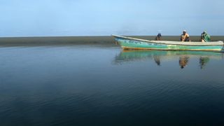 Tropske ptice u kolumbijskom Parque National Natural Tatamá u zapadnim Andama. Foto: Maja Bjelić