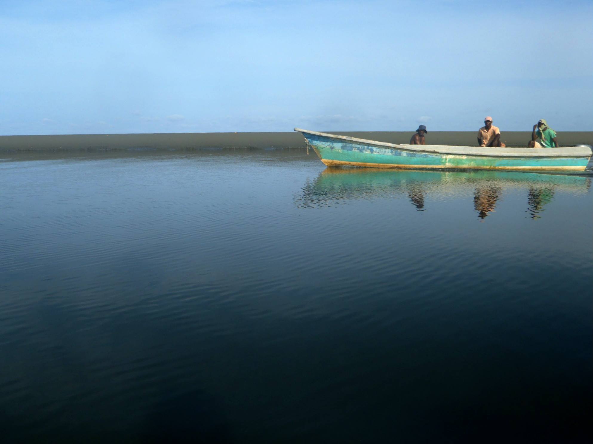 Tropske ptice u kolumbijskom Parque National Natural Tatamá u zapadnim Andama. Foto: Maja Bjelić