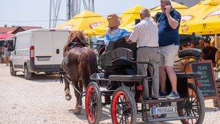 Benkovački sajam u objektivu Dina Stanina