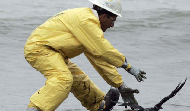 Image 1192351 (auto)