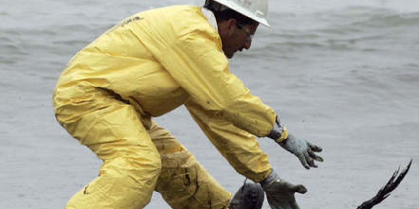 Image 1192351 (auto) Image 1192351 (auto)