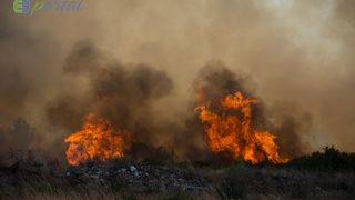 Zemaljske i zračne vatrogasne snage gase veliki šumski požar kod Crvene luke. Foto: Franjo Jurić/eBiograd Zemaljske i zračne vatrogasne snage gase veliki šumski požar kod Crvene luke. Foto: Franjo Jurić/eBiograd