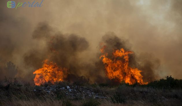 Zemaljske i zračne vatrogasne snage gase veliki šumski požar kod Crvene luke. Foto: Franjo Jurić/eBiograd