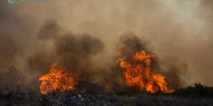 Zemaljske i zračne vatrogasne snage gase veliki šumski požar kod Crvene luke. Foto: Franjo Jurić/eBiograd Zemaljske i zračne vatrogasne snage gase veliki šumski požar kod Crvene luke. Foto: Franjo Jurić/eBiograd