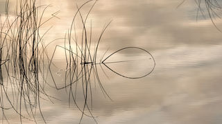 Čarobno jutro na Vranskom jezeru Čarobno jutro na Vranskom jezeru