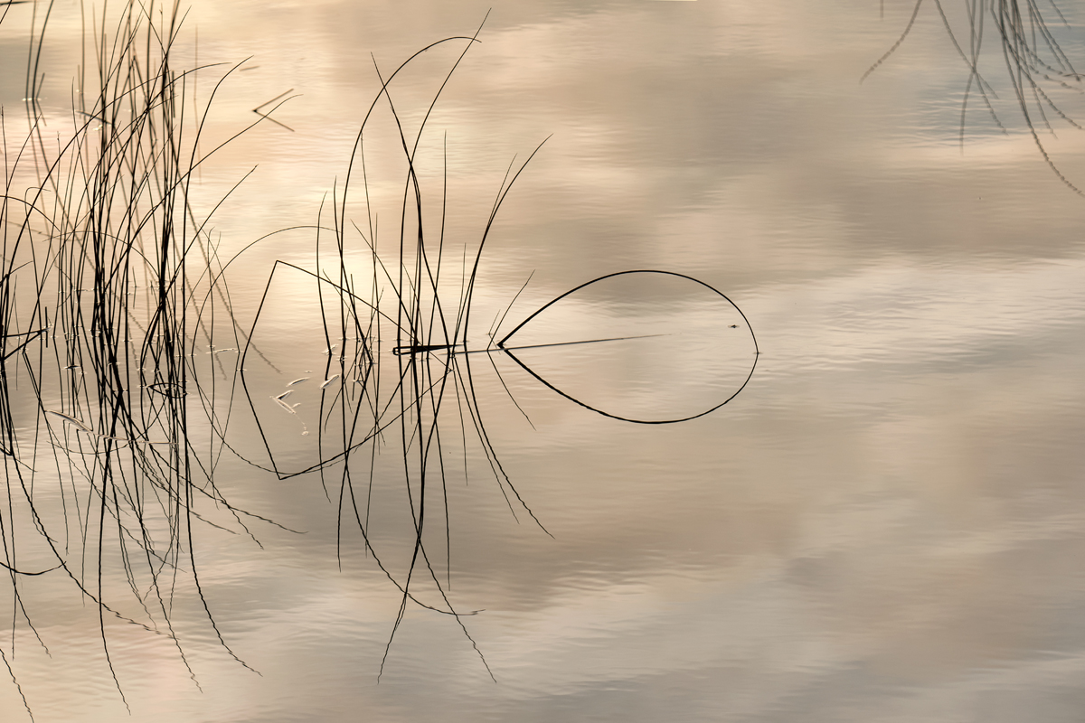 Čarobno jutro na Vranskom jezeru Čarobno jutro na Vranskom jezeru