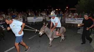 10. međunarodna trka tovarov Tisno 2015