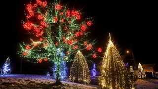 Cazma, 171210.
Grabovnica pokraj Cazme.
Imanje obitelji Salaj.
Predsjednica Vlade Jadranka Kosor svecano je upalili lampice na imanju obitelji Salaj u okviru Bozicne price u Cazmi.
Na imanju je ove godine upaljeno 1100000 lampica.
Prigodom otvorenja bio j