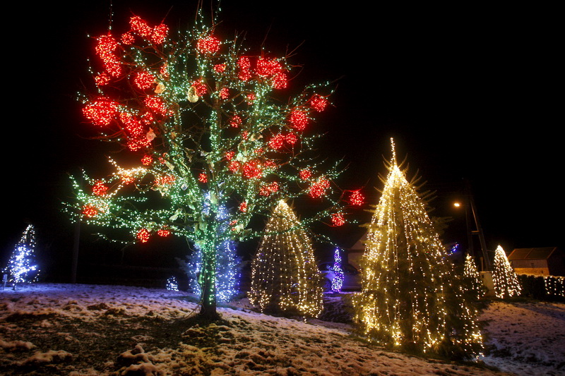 Cazma, 171210.
Grabovnica pokraj Cazme.
Imanje obitelji Salaj.
Predsjednica Vlade Jadranka Kosor svecano je upalili lampice na imanju obitelji Salaj u okviru Bozicne price u Cazmi.
Na imanju je ove godine upaljeno 1100000 lampica.
Prigodom otvorenja bio j