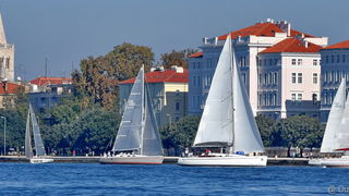 Sva lica “Zadarske koke” Sva lica “Zadarske koke”