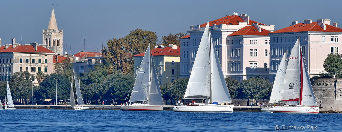 Sva lica “Zadarske koke” Sva lica “Zadarske koke”