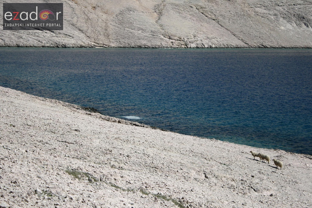 Metajna: Pag Island Star Trekk- Life on Mars Edition Metajna: Pag Island Star Trekk- Life on Mars Edition