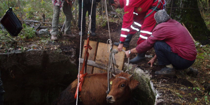 OLYMPUS DIGITAL CAMERA OLYMPUS DIGITAL CAMERA