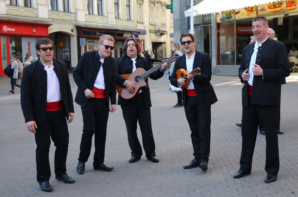 Vir u Zagrebu Vir u Zagrebu