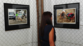 Izložba zadarskog fotografa Zvonka Kucelina, foto: Nenad Marčev