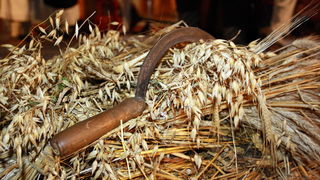 Biograd: Sjecanje na Hirosimu 6. kolovoza 2010. Biograd: Sjecanje na Hirosimu 6. kolovoza 2010.