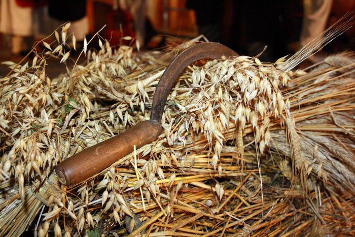 Biograd: Sjecanje na Hirosimu 6. kolovoza 2010. Biograd: Sjecanje na Hirosimu 6. kolovoza 2010.