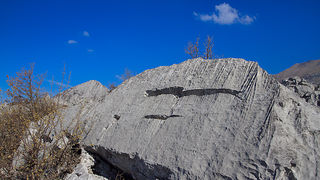 Izlet u Libinje 6. travnja 2011, Foto: Leo Banic