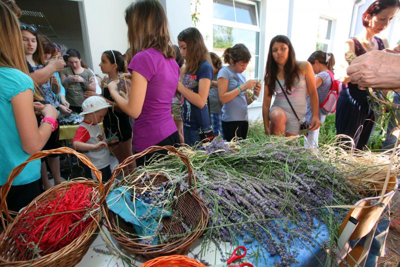 03.07.2013., Zadar – Na djecjem odjelu u dvoristu Gradske knjiznice Zadar djeca izradjuju strucke i jastucice od lavande. Radionicu vodi gospodja Jadranka Plantak. Photo: Zeljko Mrsic/PIXSELL 03.07.2013., Zadar – Na djecjem odjelu u dvoristu Gradske knjiznice Zadar djeca izradjuju strucke i jastucice od lavande. Radionicu vodi gospodja Jadranka Plantak. Photo: Zeljko Mrsic/PIXSELL