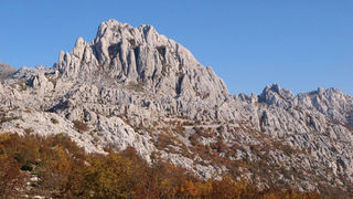 OLYMPUS DIGITAL CAMERA OLYMPUS DIGITAL CAMERA