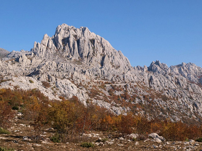 OLYMPUS DIGITAL CAMERA OLYMPUS DIGITAL CAMERA