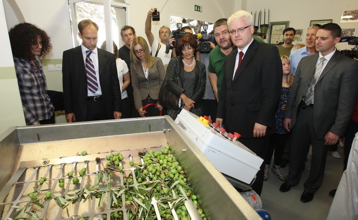 Zadar, 031010.
Predsjednik Hrvatske Ivo Josipovic posjetio je mjesto Lun na otoku Pagu. Obisao je stari maslinik i uljaru Lun Zeljimira Badurine.
Na fotografiji: predsjednik u uljari.
Foto : Vladimir Ivanov / CROPIX