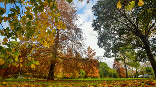 Jesenski đir po gradu, 15. studenog 2014. , foto: Marin Pitton Jesenski đir po gradu, 15. studenog 2014. , foto: Marin Pitton