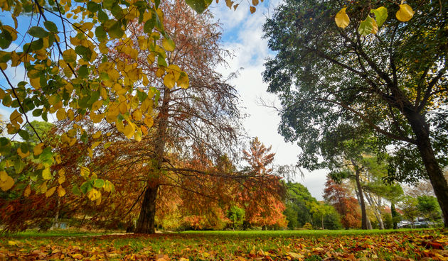 Jesenski đir po gradu, 15. studenog 2014. , foto: Marin Pitton