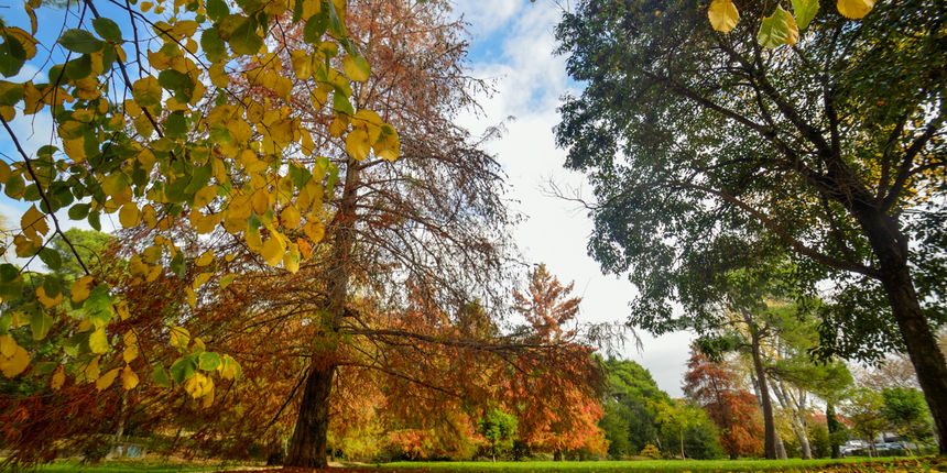 Jesenski đir po gradu, 15. studenog 2014. , foto: Marin Pitton