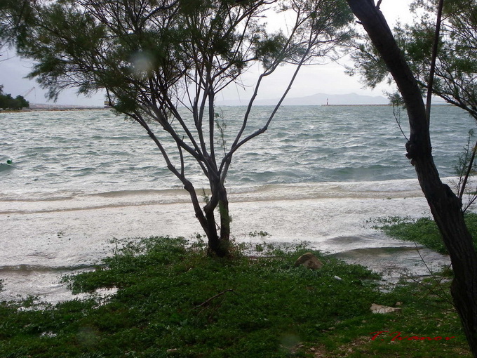 Plima u uvali Bregdetti, foto: T. Ivanov