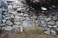 Zadarski studenti rekonstruirali nekadašnji način života transhumantnih stočara i sagradili pastirsku kuću na Biokovu