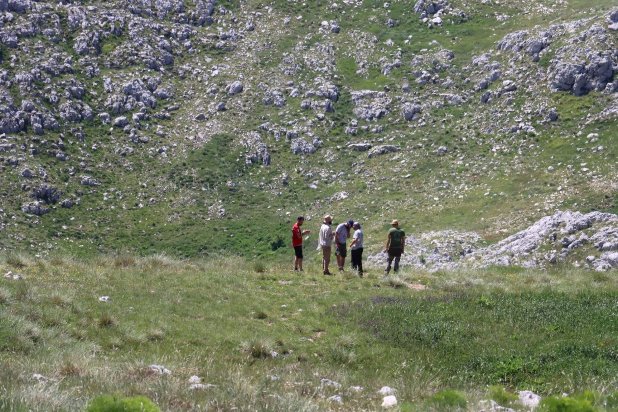 Zadarski studenti rekonstruirali nekadašnji način života transhumantnih stočara i sagradili pastirsku kuću na Biokovu