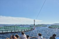 bip unizd (1) bip unizd (1)