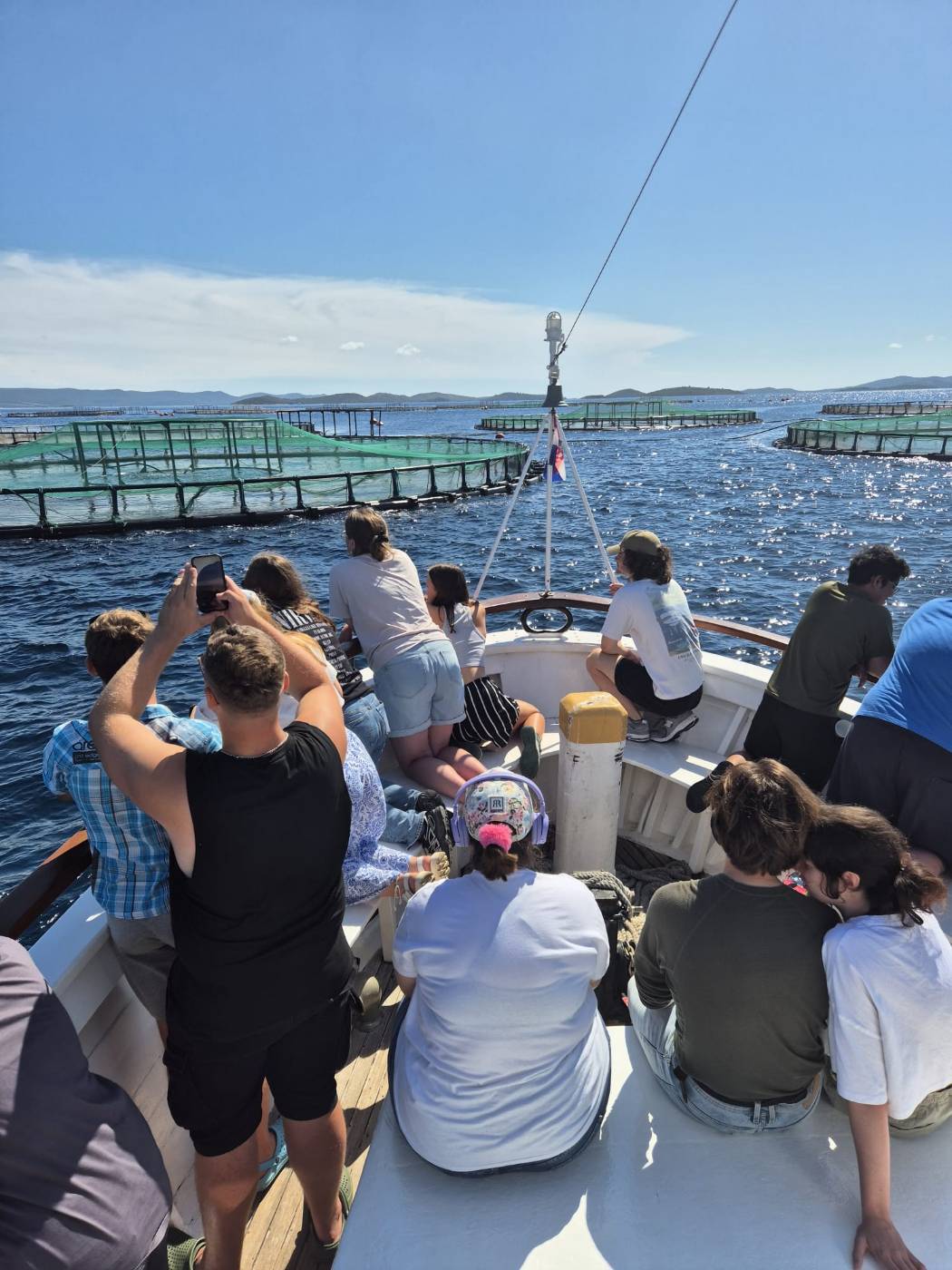 bip unizd (1) bip unizd (1)