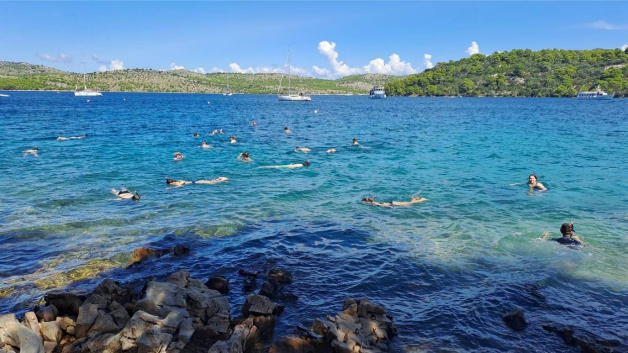 bip unizd (2) bip unizd (2)