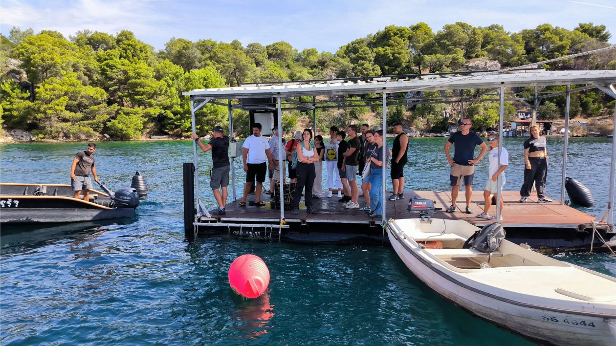 bip unizd (9) bip unizd (9)