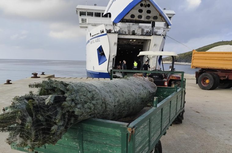 božićne jelke stigle na zadarske otoke božićne jelke stigle na zadarske otoke