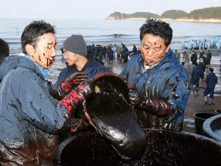 Image 1196797 (auto) Image 1196797 (auto)