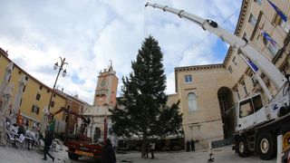 25.11.2013., Zadar – Na Narodnom trgu postavljena je jelka koja ce do prvog mjeseca 2014. krasiti najfrekventnije mjesto u centru grada. Photo: Filip Brala/PIXSELL Autor Filip Brala/PIXSELL KLJUČNE RIJEČI Narodni trg, bor, Jelka, Bozicni ugodjaj, bozi 25.11.2013., Zadar – Na Narodnom trgu postavljena je jelka koja ce do prvog mjeseca 2014. krasiti najfrekventnije mjesto u centru grada. Photo: Filip Brala/PIXSELL Autor Filip Brala/PIXSELL KLJUČNE RIJEČI Narodni trg, bor, Jelka, Bozicni ugodjaj, bozi